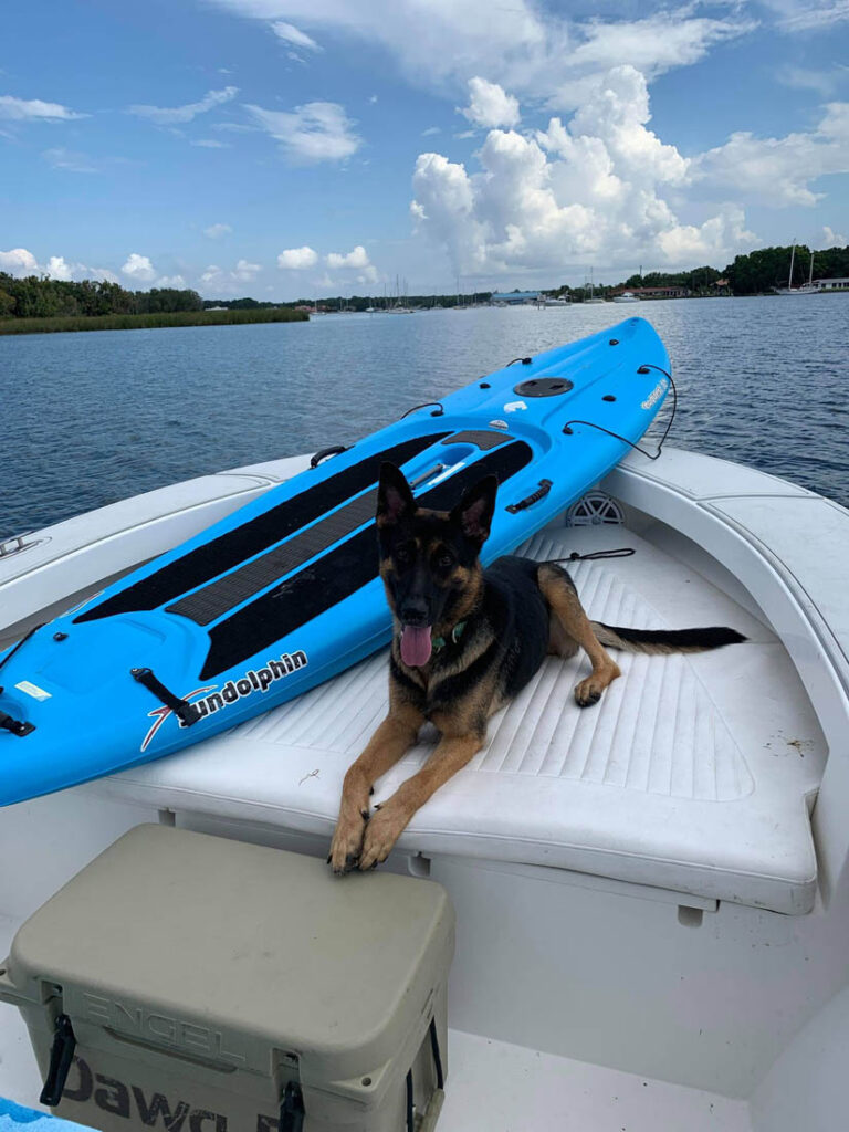 dog on a boat in florida